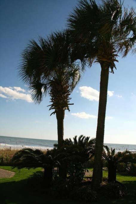*Renovated Oceanfront Condo*Queen Beds*Pools*Hot Tubs*More*P220 默特尔比奇 外观 照片